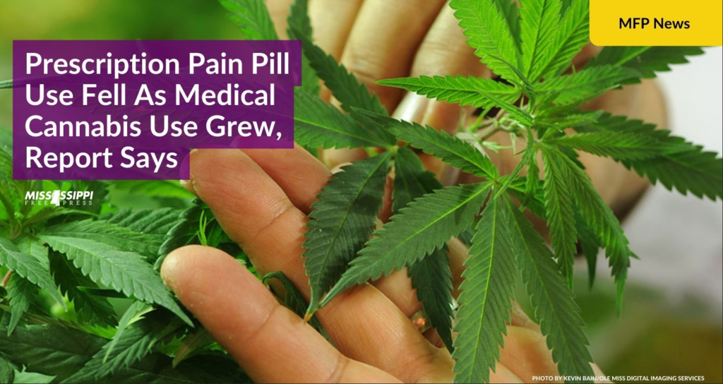 Pain-Pill Use Fell As Medical-Cannabis Use Grew, Report Says