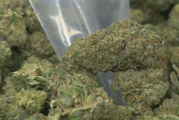 Ohio recreational marijuana sales stalled
